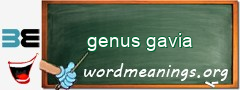 WordMeaning blackboard for genus gavia